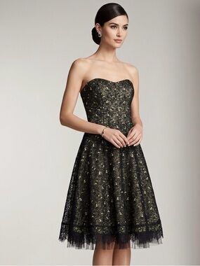 Nicole Miller 100% Silk Lace Dress 6 Prom Formal Party Chic Tulle Lace Ballgown